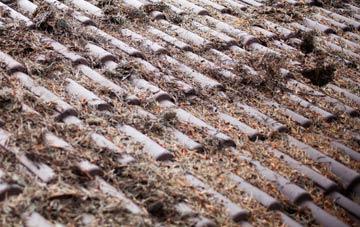 Berryfield roof cleaning companies